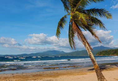 Serenity tropikal plaj 