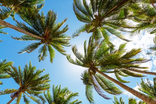 Serenity tropical beach — Stock Photo, Image