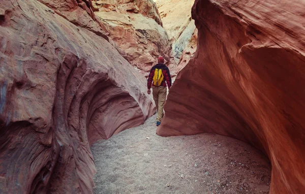 Happy Canyon fantastic scene — Stock Photo, Image