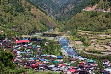 güzel yeşil pirinç terasları