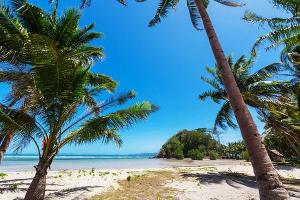 Serenidade praia tropical — Fotografia de Stock