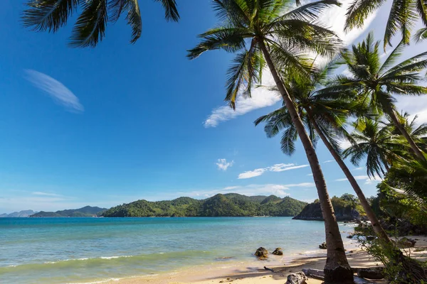 Sérénité plage tropicale — Photo