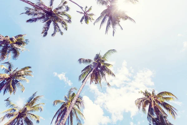 Serenità spiaggia tropicale — Foto Stock