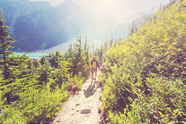 Hombre de senderismo en montañas canadienses —  Fotos de Stock