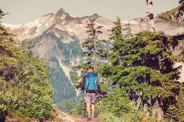 Backpacker man i bergen — Stockfoto