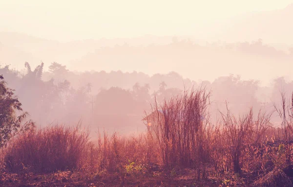 Paisajes rurales en el norte de Tailandia — Foto de Stock