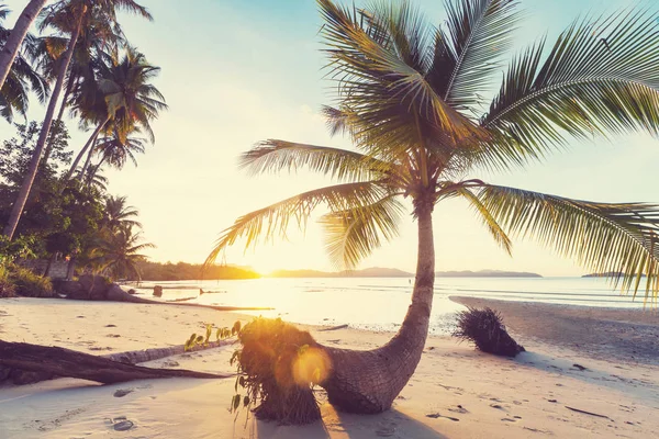 Serenity tropical beach — Stock Photo, Image