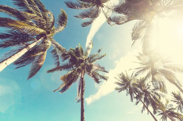 Serenità spiaggia tropicale — Foto Stock