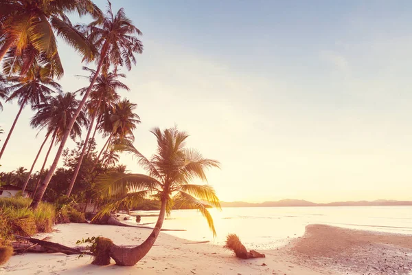 Sérénité plage tropicale — Photo