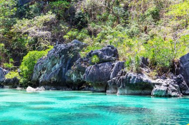 Şaşırtıcı doğal görünümü 