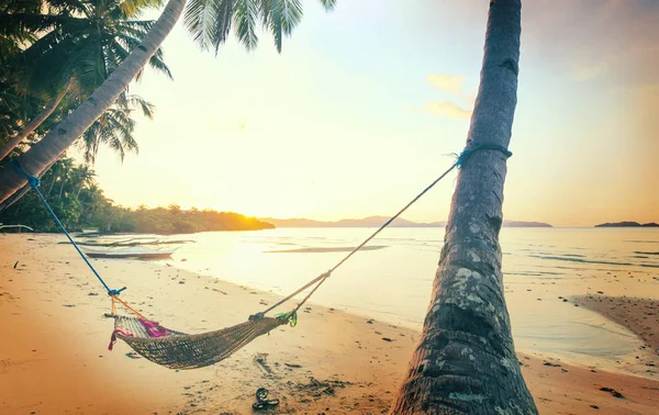 Serenità spiaggia tropicale — Foto Stock