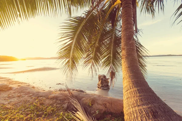 Serenity tropical beach — Stock Photo, Image