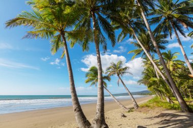 Serenity tropikal plaj