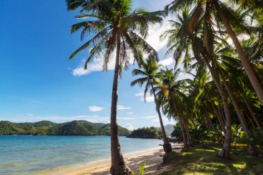 Serenity tropikal plaj