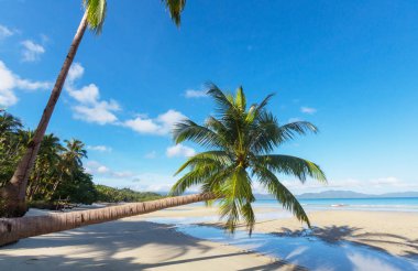 Serenity tropikal plaj