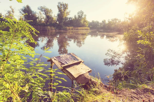 Groene zomer lake — Stockfoto