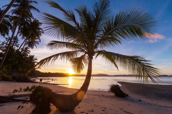 Serenidad playa tropical —  Fotos de Stock