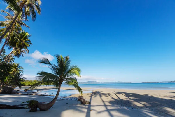 Serenity tropical beach — Stock Photo, Image