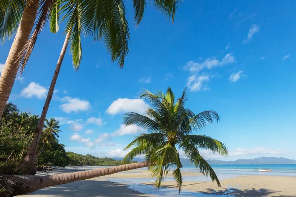 Serenity tropical beach — Stock Fotó