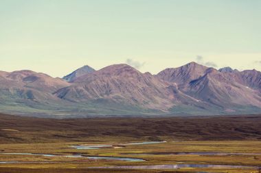 Manzara Denali karayolu üzerinde