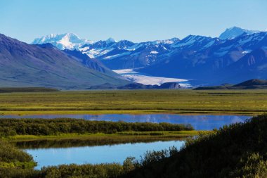 Manzara Denali karayolu üzerinde