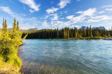 Athabasca nehir Kanada