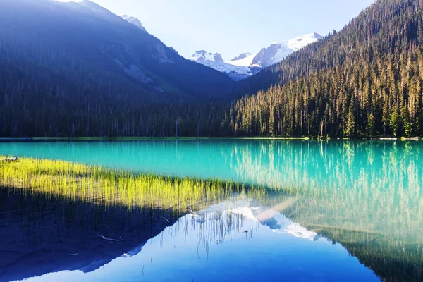 Beautiful turquoise waters — Stock Photo, Image