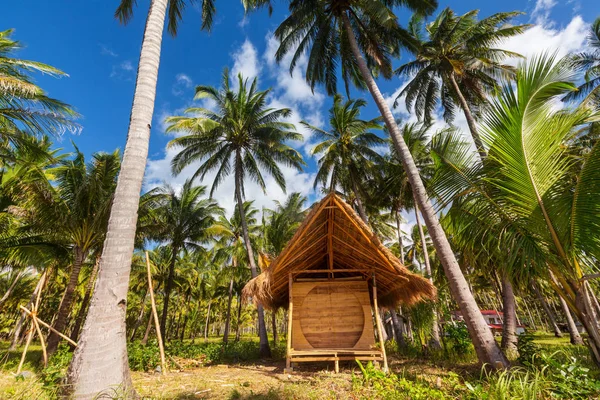 Serenità spiaggia tropicale — Foto Stock