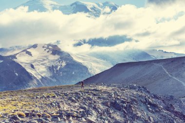 erkekte Rainier Dağı Milli Parkı