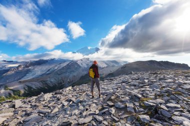 erkekte Rainier Dağı Milli Parkı