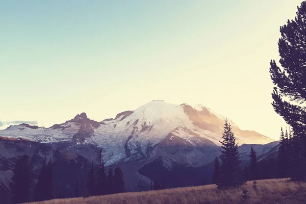 Mount-Rainier-Nationalpark — Stockfoto