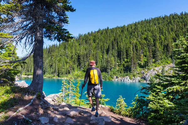 Backpacker på sommar vandring — Stockfoto