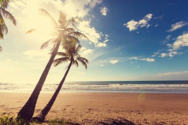 Serenity tropikal plaj