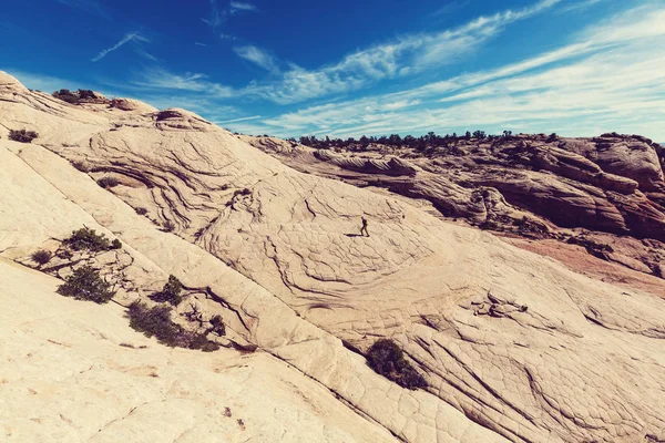 Sandsten formationer i utah — Stockfoto