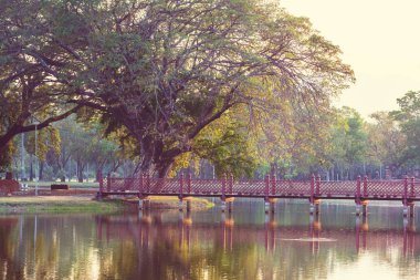 Güzel bahçesi olan köprü 