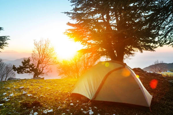 Tent in de bergen — Stockfoto