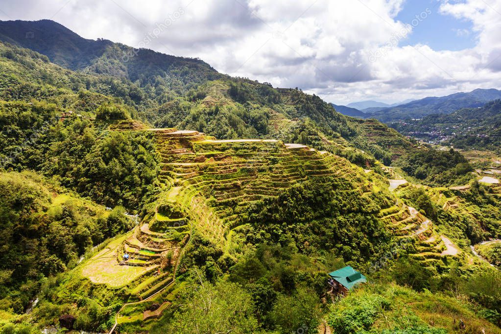 Beautiful Green Rice terraces 