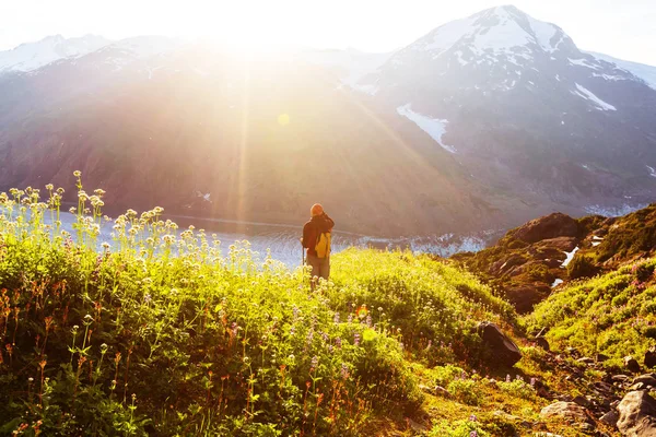 Vandring man i kanadensiska bergen — Stockfoto