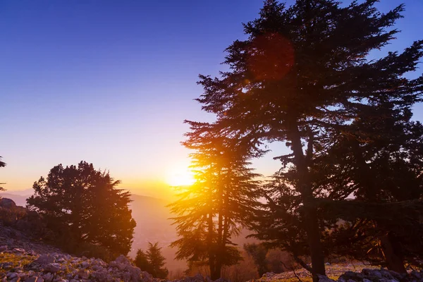 Schöne Naturlandschaften in den Bergen der Türkei. — Stockfoto