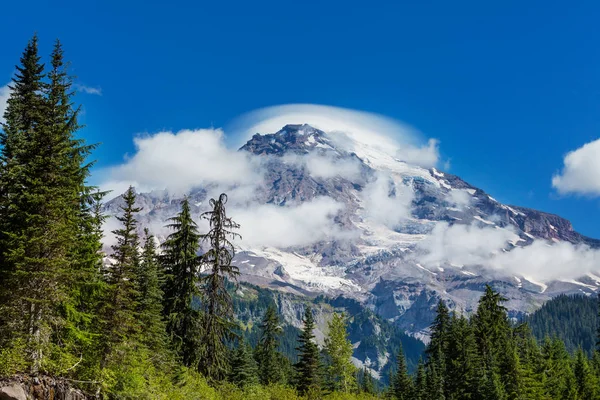 Mount Rainier national park — Stock Photo, Image