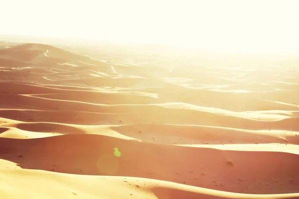 Dune di sabbia nel deserto del sahara — Foto Stock