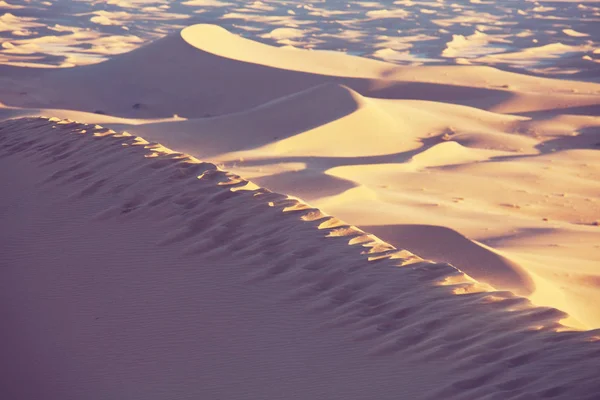 Písečné duny v poušti Sahara — Stock fotografie
