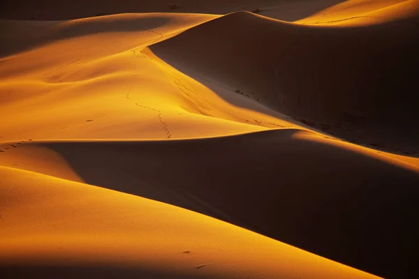 Wydmy piaskowe na pustyni Sahara — Zdjęcie stockowe