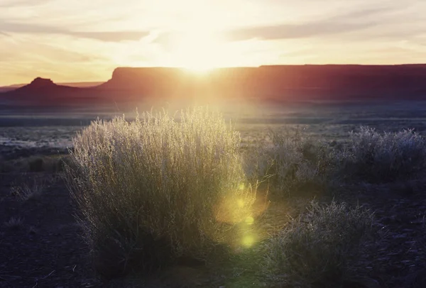 Valley of the Gods rock formation — Stock Photo, Image