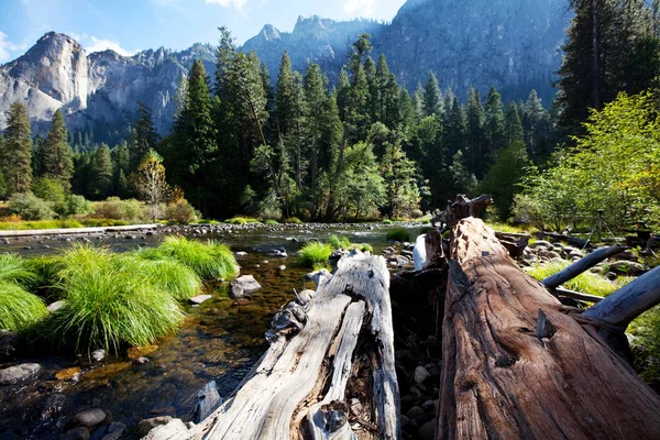 Yosemite doğa manzaraları — Stok fotoğraf