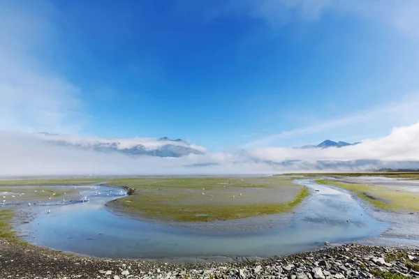 美国阿拉斯加州的风景 — 图库照片