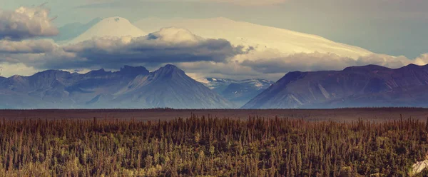 Pittoreska bergen i Alaska — Stockfoto