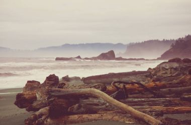 Doğa Manzaralı ve titiz Pasifik Sahili içinde olimpik Milli Parkı