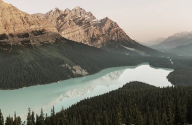 Peyto Lake in Banff National Park clipart