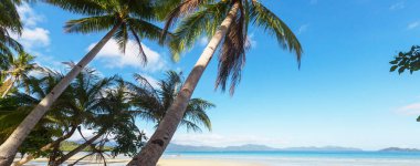 Serenity tropikal plaj